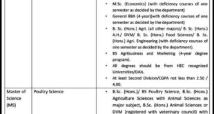 MNS University of Agriculture jobs in Multan